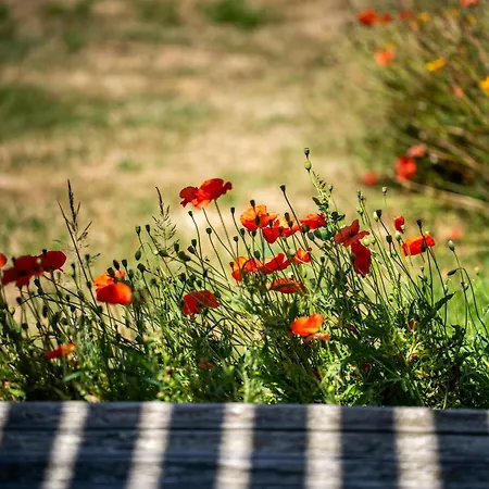 La Maison Des Dunes - Proche - Jardin - Wifi - Thegoodbnb Feriehus Les Moitiers-d'Allonne
