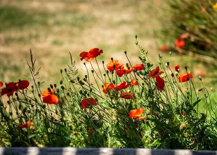 La Maison Des Dunes De Hattainville Proche بيت للعطل Les Moitiers-d'Allonne